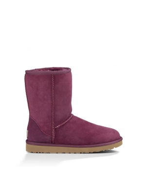 KID's Classic Short Violet 5251